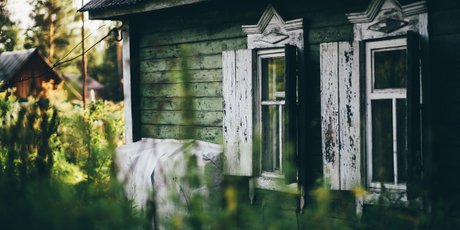 «Я сегодня просыпаюсь — а у меня мышь на столе сидит, книжку жрет»: как я попыталась сбежать от городской суеты в деревню