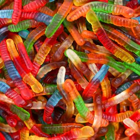 Обнаружен новый вид животных: червь-гармошка, который может складываться как баян