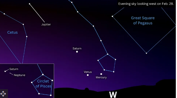 Anthony Wood in Canva