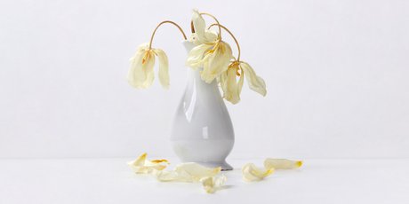 10 фактов о старении, о которых лучше узнать в молодости