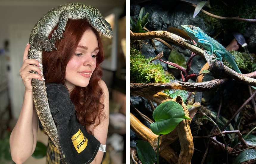 Лана Кин. «Ты же любишь задохликов. Хочешь?»: монолог хозяйки нескольких десятков варанов, рукокрылых и многоножек