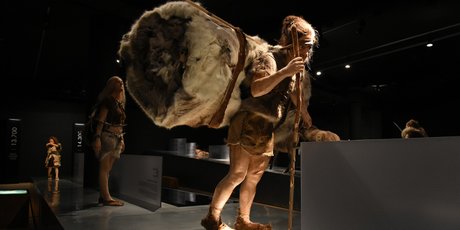 Неандертальцы – не наши предки, а никаких питекантропов не было: как изменился дарвинизм в XXI веке