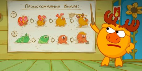 «Никто не воспринимал это как прикол». Кто, как и зачем собрал научную конференцию по "Смешарикам"