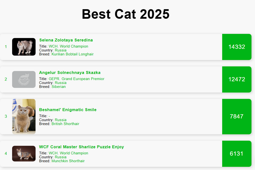 скриншот / WCF Best Cat