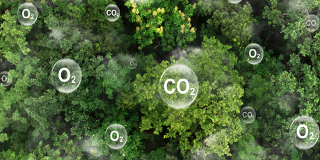 Ученые создали листья, которые могут перерабатывать углекислый газ в углеводороды