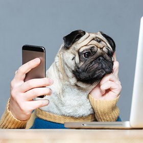 Исследование: профессиональные термины убивают интерес людей к науке и политике