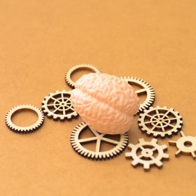 Австралийские ученые создали микрочип из 200 000 живых нейронов человеческого мозга и научили его играть в компьютерную игру