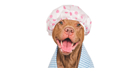 Ученые выяснили, что ежедневные походы в душ не влияют на сухость кожи