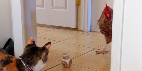 Как навыки фактчекинга помогут не попастьcя на крючок ложных заявлений политиков и маркетологов