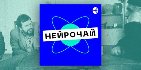 Подкаст дня: «Нейрочай» — молодые ученые, программисты и журналисты обсуждают науку о мозге