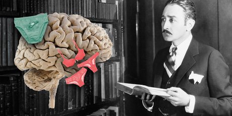 Нон-фикшн о трусах, психология влияния и любовь в Древней Руси. 10 книжных полок Bookmate, на которые стоит обратить внимание