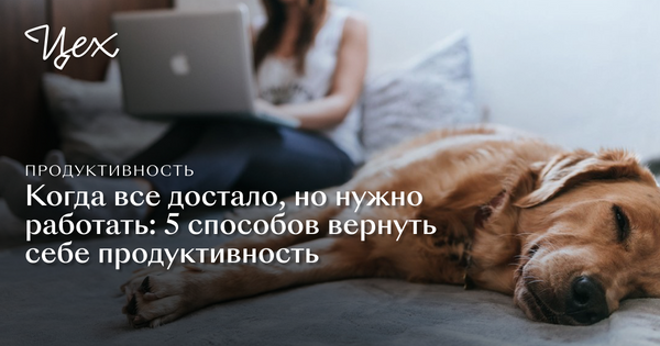 Как то все достало. Все достало. фото когда все достало. картинка на работе все достало. работа достала.