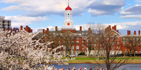 Гарвард больше не будет принимать иностранных студентов