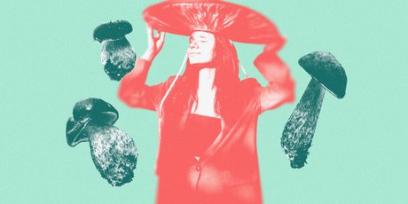 «Нашего появления грибы еще даже не заметили»: миколог — о том, почему с грибами нужно дружить