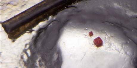 Инженер создал микроскопическую детальку «Лего» размером с лейкоцит и поставил мировой рекорд