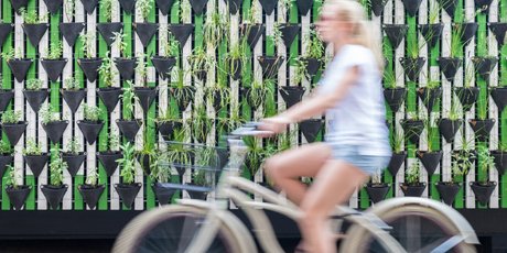 Что такое «устойчивость», о которой мы постоянно слышим