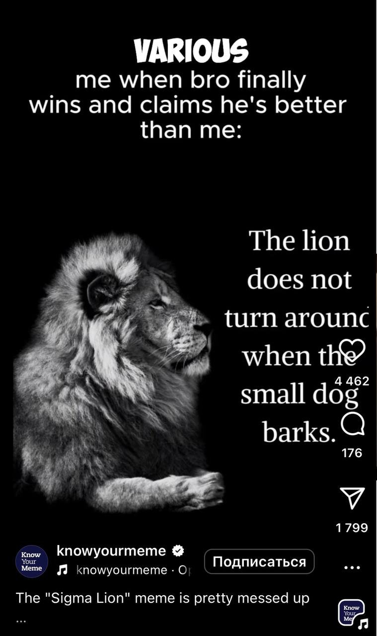 Когда кто-то говорит, что он лучше меня. <br>
Я: Лев не оборачивается на лай маленьких собак