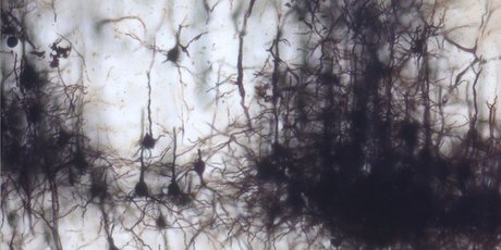 Как буддизм и нейробиология помогают бросить курить, сидеть в соцсетях или зацикливаться на негативе