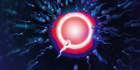 3 новые биологические теории, которые изменили наши представления о мире