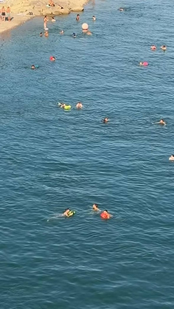 Люди плывут по реке Рейн с водонепроницаемыми мешками