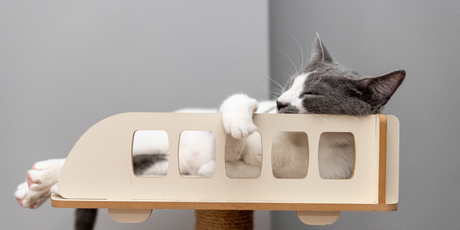 Sleepmaxxing — новый тренд в корпоративной среде, согласно которому хороший сон — ключ к успеху