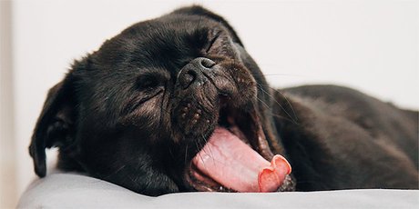 Почему вас неинтересно слушать: 3 привычки, которые портят любое выступление