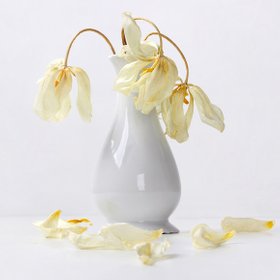 10 фактов о старении, о которых лучше узнать в молодости