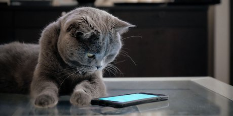 Хотели как лучше... Запрет на проверку рабочей почты вне офиса приводит к еще большему стрессу