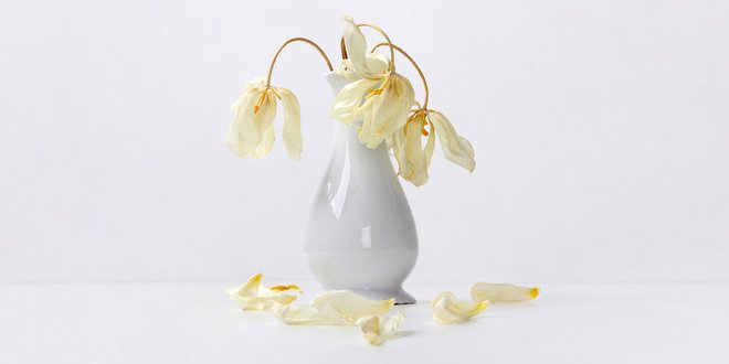 10 фактов о старении, о которых лучше узнать в молодости