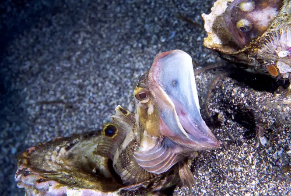  Joe Belanger/Shutterstock