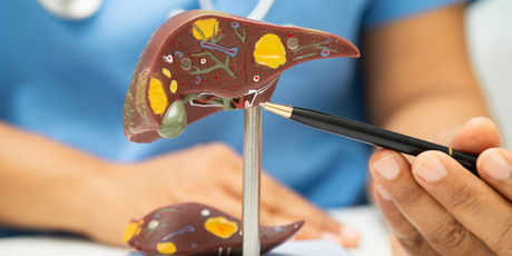 Новый ИИ повышает эффективность пересадки печени на 60%