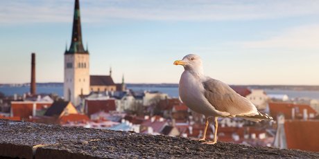 Медленно, но верно: что такое slow living и почему нам всем надо перестать спешить