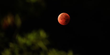 Как увидеть кровавую Луну, Венеру и Меркурий в марте 2026 года