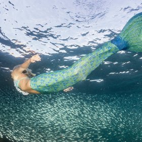 В США новый тренд — девушки наряжаются в костюмы русалок и плавают в бассейнах, чтобы снять стресс