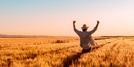 Что нужно для быстрого и эффективного достижения цели? Отвечают ученые