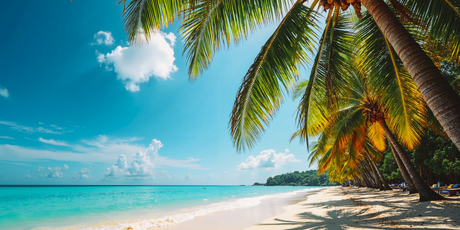 34 млн рублей — за столько продали самый дорогой тур этого лета