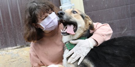 Самозанятый, волонтер и тиктокер: какие навыки и профессии россияне хотели освоить в 2020 году