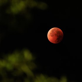 Как увидеть кровавую Луну, Венеру и Меркурий в марте 2026 года