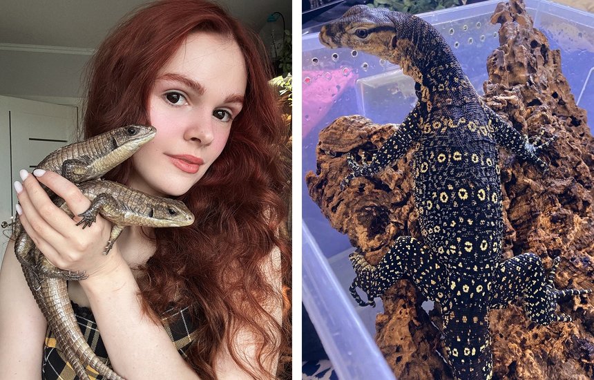 Лана Кин. «Ты же любишь задохликов. Хочешь?»: монолог хозяйки нескольких десятков варанов, рукокрылых и многоножек