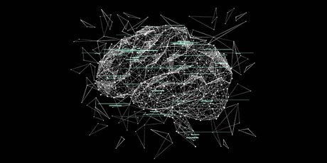 Много будешь знать — скоро состаришься: ученые связали напряженную деятельность мозга с преждевременным старением