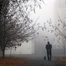 Курс дня: «Ок, что дальше?» — как строить планы в непредсказуемых условиях