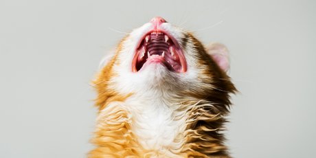 Зачем мы ноем? Жалобы как обязательная часть нашей жизни