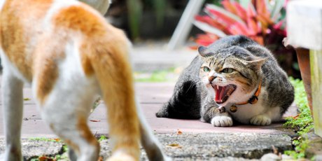 Вы – душнила? Рассказываем, как перестать бесить окружающих