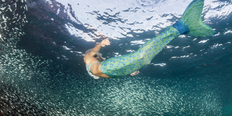 В США новый тренд — девушки наряжаются в костюмы русалок и плавают в бассейнах, чтобы снять стресс