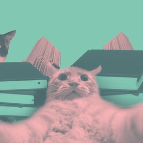 «Вечерний карантин»: культовые мюзиклы, жители многоэтажек и коронавирус у животных в дайджесте “Цеха”