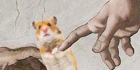 Все сошли с ума по Hamster Kombat. Кому он выгоден и можно ли на нем заработать