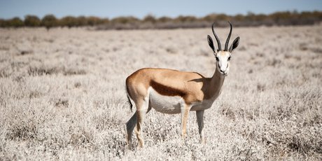 «Золота не может быть слишком много». Наталия Ландау — о том, почему все начали делиться бесплатным контентом