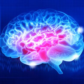 Ученые выяснили, что человеческий мозг светится