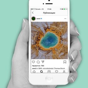 Курс дня: развенчиваем мифы о вирусах и узнаем полезные свойства микробов