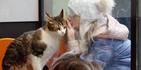 20 курсов для миллениалов: как научиться договариваться с людьми, домашними животными и дикой природой
